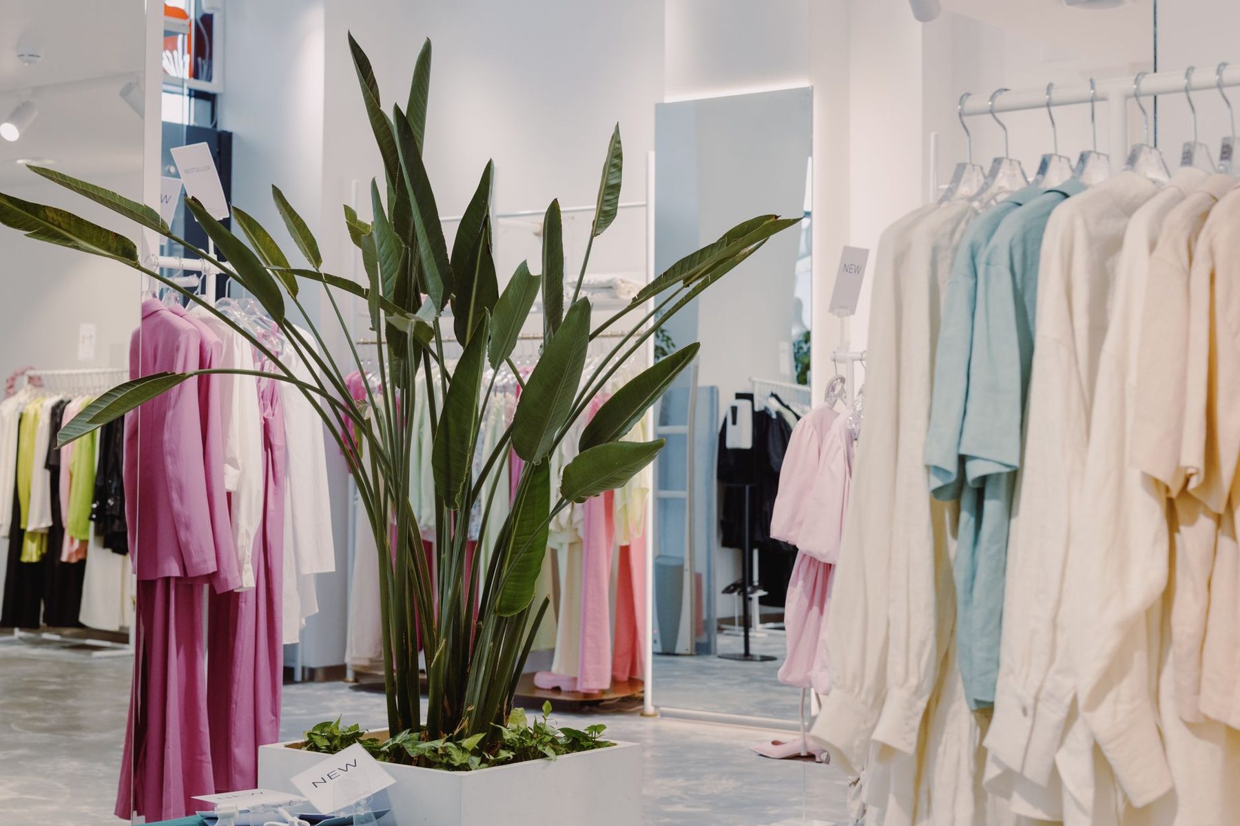 Intérieur du concept store Indigo au Plateau, Dakar : portants de vêtements sélectionnés